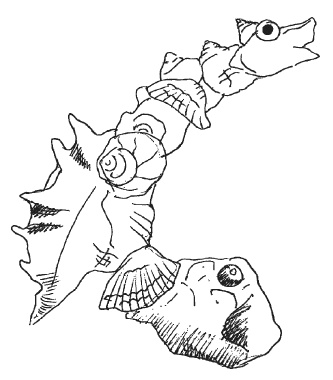 Иллюстрация к книге — Оригинальные подарки своими руками [i_061.jpg]