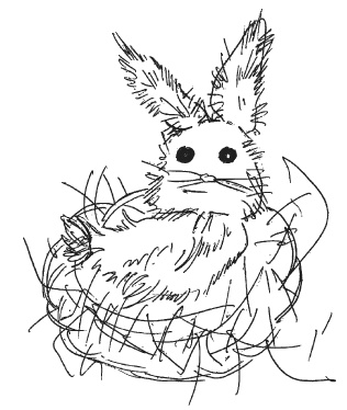 Иллюстрация к книге — Оригинальные подарки своими руками [i_063.jpg]