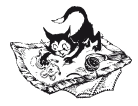 Иллюстрация к книге — Чудесные коврики своими руками [i_006.jpg]