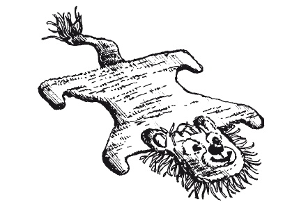 Иллюстрация к книге — Чудесные коврики своими руками [i_016.jpg]