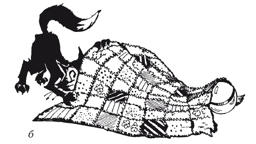 Иллюстрация к книге — Чудесные коврики своими руками [i_042.jpg]