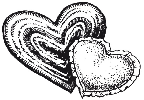 Иллюстрация к книге — Чудесные коврики своими руками [i_047.jpg]