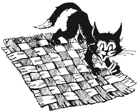 Иллюстрация к книге — Чудесные коврики своими руками [i_081.jpg]