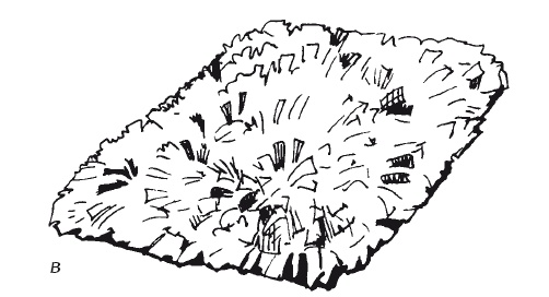 Иллюстрация к книге — Чудесные коврики своими руками [i_087.jpg]