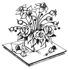 Иллюстрация к книге — Букеты из конфет [i_002.jpg]