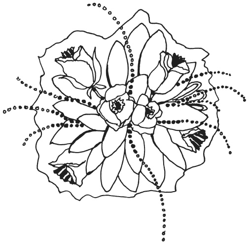Иллюстрация к книге — Букеты из конфет [i_014.jpg]
