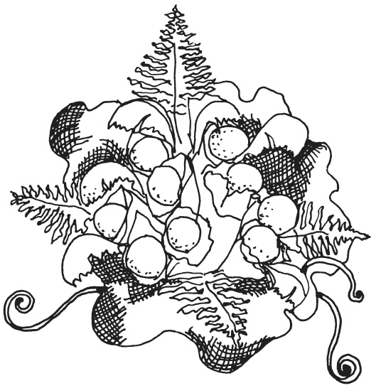 Иллюстрация к книге — Букеты из конфет [i_015.jpg]