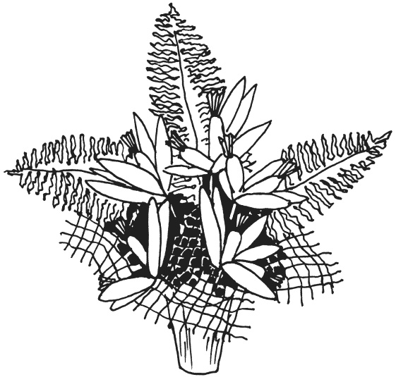 Иллюстрация к книге — Букеты из конфет [i_017.jpg]