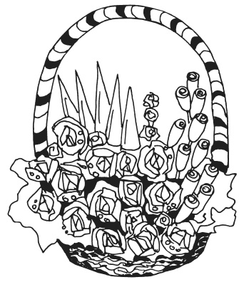 Иллюстрация к книге — Букеты из конфет [i_034.jpg]