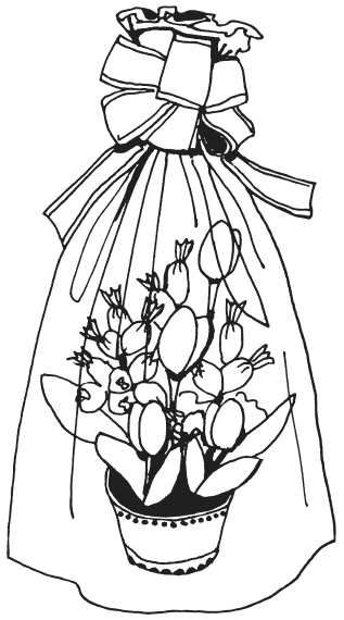 Иллюстрация к книге — Букеты из конфет [i_036.jpg]