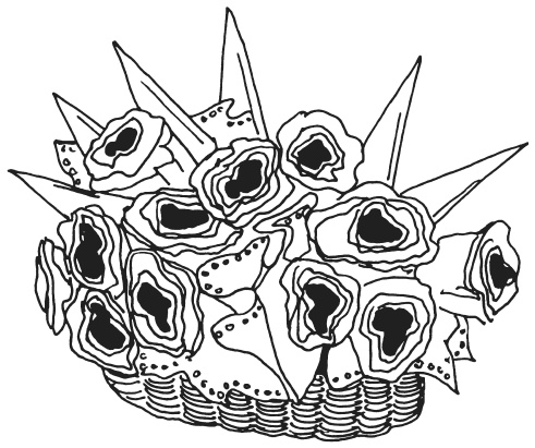 Иллюстрация к книге — Букеты из конфет [i_045.jpg]