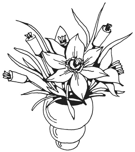 Иллюстрация к книге — Букеты из конфет [i_047.jpg]