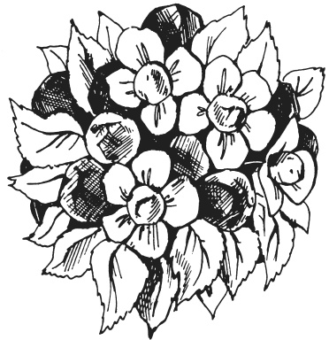 Иллюстрация к книге — Букеты из конфет [i_089.jpg]