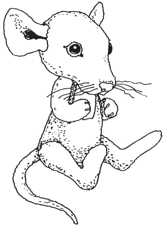 Иллюстрация к книге — Фелтинг. Удивительные поделки из свалянной шерсти [i_015.jpg]