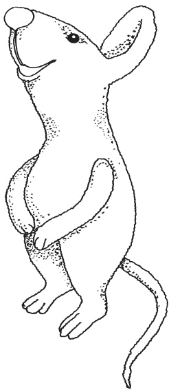 Иллюстрация к книге — Фелтинг. Удивительные поделки из свалянной шерсти [i_021.jpg]