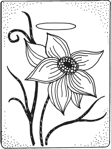 Иллюстрация к книге — Фелтинг. Удивительные поделки из свалянной шерсти [i_035.jpg]