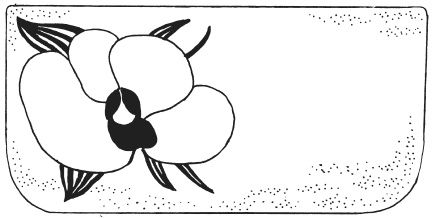 Иллюстрация к книге — Фелтинг. Удивительные поделки из свалянной шерсти [i_040.jpg]