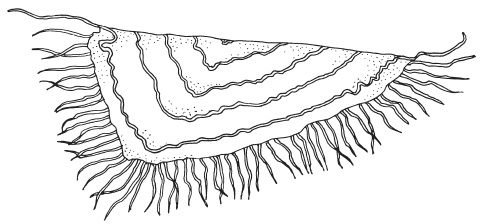 Иллюстрация к книге — Фелтинг. Удивительные поделки из свалянной шерсти [i_041.jpg]