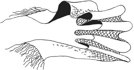 Иллюстрация к книге — Фелтинг. Удивительные поделки из свалянной шерсти [i_045.jpg]