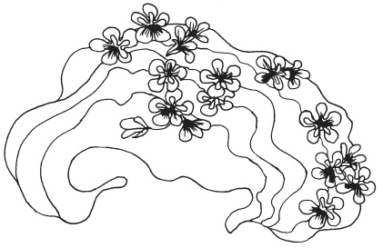 Иллюстрация к книге — Фелтинг. Удивительные поделки из свалянной шерсти [i_054.jpg]