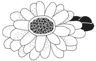 Иллюстрация к книге — Фелтинг. Удивительные поделки из свалянной шерсти [i_082.jpg]