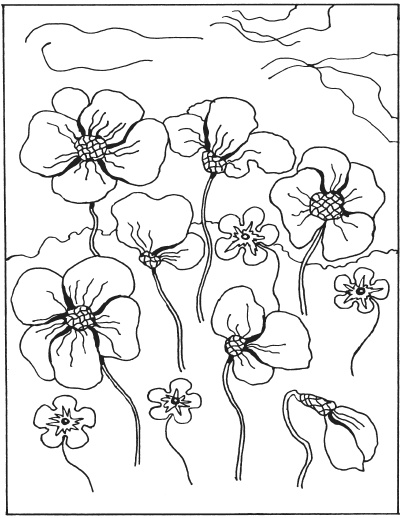 Иллюстрация к книге — Фелтинг. Удивительные поделки из свалянной шерсти [i_085.jpg]