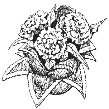 Иллюстрация к книге — Поделки из ниток, пуговиц, бусин [i_029.jpg]