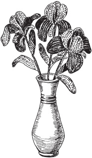 Иллюстрация к книге — Цветы и деревья из яичной скорлупы и бисера [_105.jpg]