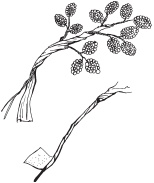 Иллюстрация к книге — Цветы и деревья из яичной скорлупы и бисера [_125.jpg]