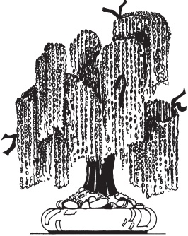 Иллюстрация к книге — Цветы и деревья из яичной скорлупы и бисера [_128.jpg]