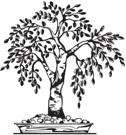 Иллюстрация к книге — Цветы и деревья из яичной скорлупы и бисера [_129.jpg]