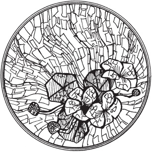 Иллюстрация к книге — Цветы и деревья из яичной скорлупы и бисера [_16.jpg]