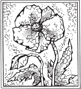 Иллюстрация к книге — Цветы и деревья из яичной скорлупы и бисера [_18.jpg]