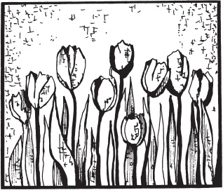 Иллюстрация к книге — Цветы и деревья из яичной скорлупы и бисера [_19.jpg]