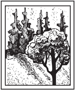 Иллюстрация к книге — Цветы и деревья из яичной скорлупы и бисера [_30.jpg]