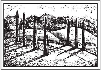 Иллюстрация к книге — Цветы и деревья из яичной скорлупы и бисера [_31.jpg]