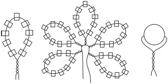 Иллюстрация к книге — Цветы и деревья из яичной скорлупы и бисера [_45.jpg]