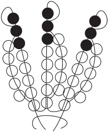 Иллюстрация к книге — Цветы и деревья из яичной скорлупы и бисера [_77.jpg]