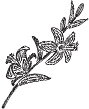 Иллюстрация к книге — Цветы и деревья из яичной скорлупы и бисера [_80.jpg]