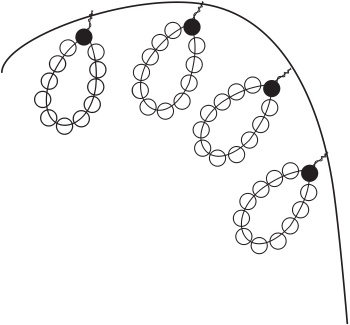 Иллюстрация к книге — Цветы и деревья из яичной скорлупы и бисера [_99.jpg]