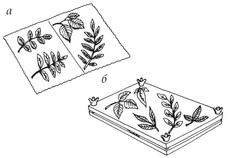 Иллюстрация к книге — Поделки из засушенных цветов и листьев [i_005.jpg]