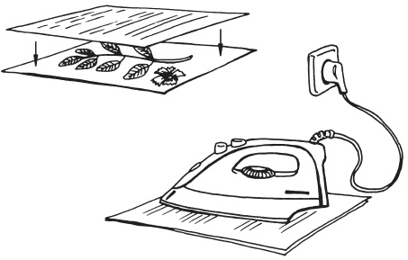 Иллюстрация к книге — Поделки из засушенных цветов и листьев [i_007.jpg]