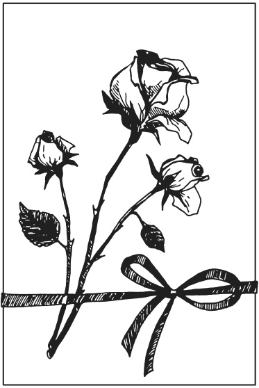 Иллюстрация к книге — Поделки из засушенных цветов и листьев [i_013.jpg]