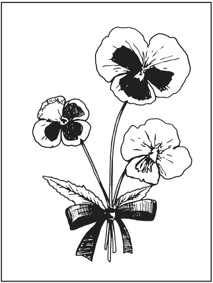 Иллюстрация к книге — Поделки из засушенных цветов и листьев [i_015.jpg]