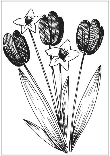 Иллюстрация к книге — Поделки из засушенных цветов и листьев [i_019.jpg]