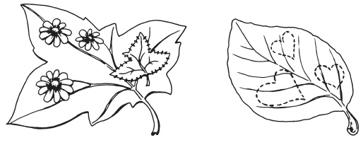 Иллюстрация к книге — Поделки из засушенных цветов и листьев [i_023.jpg]