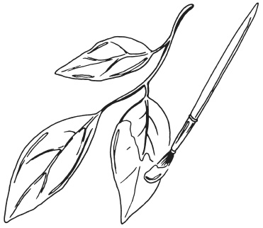 Иллюстрация к книге — Поделки из засушенных цветов и листьев [i_024.jpg]