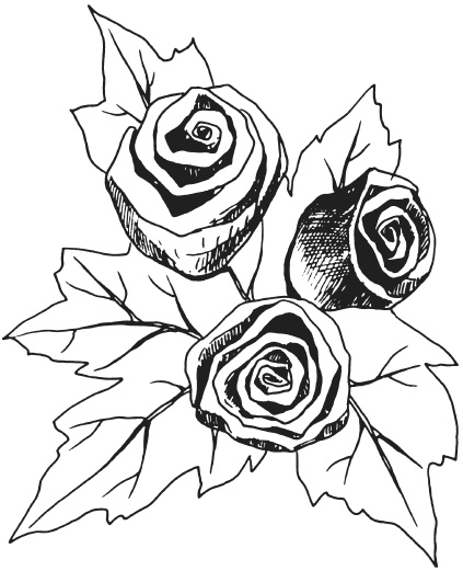 Иллюстрация к книге — Поделки из засушенных цветов и листьев [i_026.jpg]