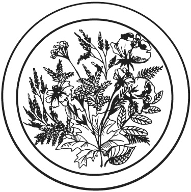 Иллюстрация к книге — Поделки из засушенных цветов и листьев [i_031.jpg]