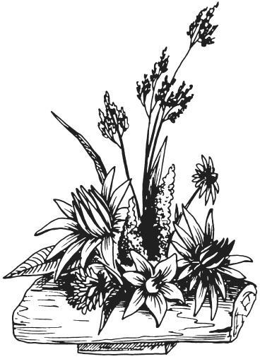 Иллюстрация к книге — Поделки из засушенных цветов и листьев [i_038.jpg]